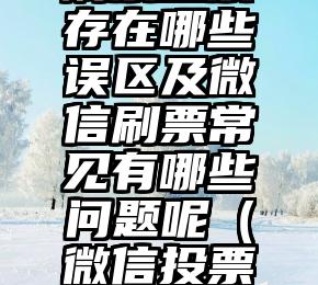 简单的来说下微信投票人工怎么刷票（微信纯人工投票）