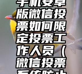 简单的来说下微信投票人工怎么刷票（微信纯人工投票）