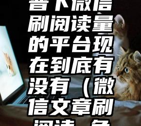 简单的来说下微信投票人工怎么刷票（微信纯人工投票）