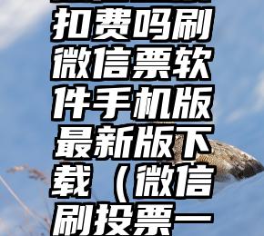 简单的来说下微信投票人工怎么刷票（微信纯人工投票）