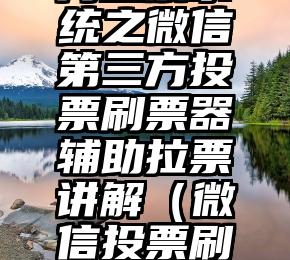 简单的来说下微信投票人工怎么刷票（微信纯人工投票）