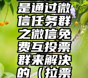 简单的来说下微信投票人工怎么刷票（微信纯人工投票）