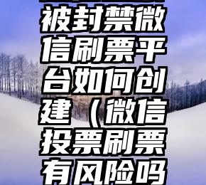 简单的来说下微信投票人工怎么刷票（微信纯人工投票）
