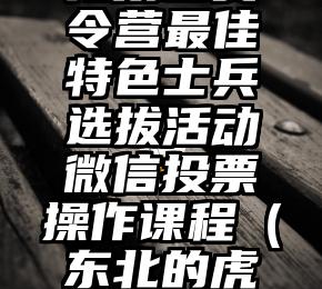 简单的来说下微信投票人工怎么刷票（微信纯人工投票）