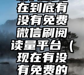 简单的来说下微信投票人工怎么刷票（微信纯人工投票）