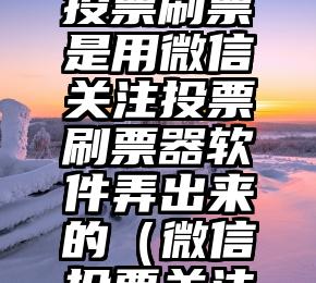 简单的来说下微信投票人工怎么刷票（微信纯人工投票）