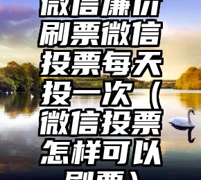 简单的来说下微信投票人工怎么刷票（微信纯人工投票）