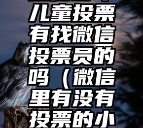 简单的来说下微信投票人工怎么刷票(微信纯人工投票)