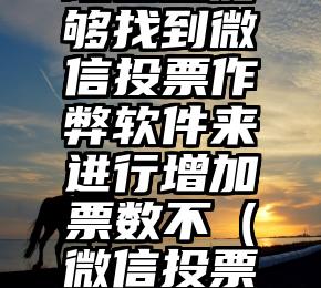简单的来说下微信投票人工怎么刷票（微信纯人工投票）