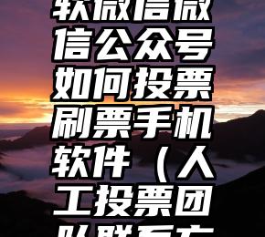 简单的来说下微信投票人工怎么刷票（微信纯人工投票）