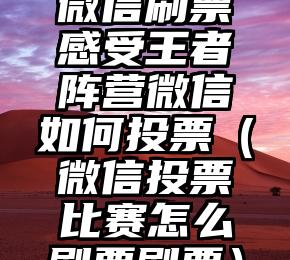 简单的来说下微信投票人工怎么刷票（微信纯人工投票）