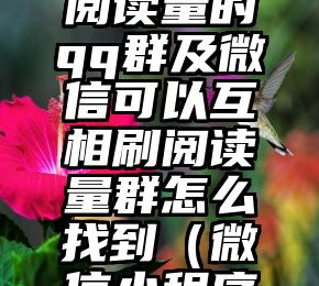 简单的来说下微信投票人工怎么刷票（微信纯人工投票）
