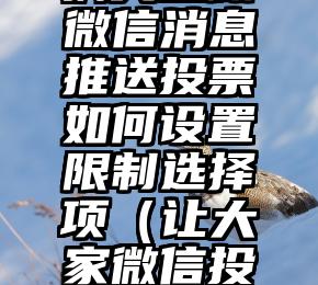 简单的来说下微信投票人工怎么刷票（微信纯人工投票）