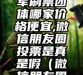 简单的来说下微信投票人工怎么刷票（微信纯人工投票）