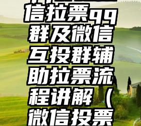 简单的来说下微信投票人工怎么刷票（微信纯人工投票）