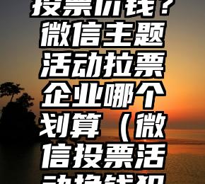 简单的来说下微信投票人工怎么刷票（微信纯人工投票）