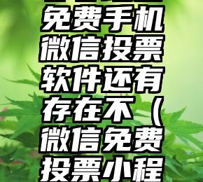 简单的来说下微信投票人工怎么刷票（微信纯人工投票）