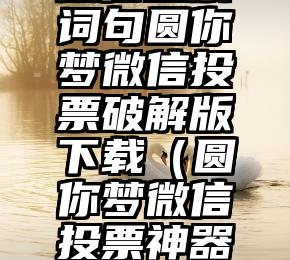 简单的来说下微信投票人工怎么刷票（微信纯人工投票）