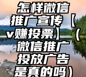 简单的来说下微信投票人工怎么刷票（微信纯人工投票）