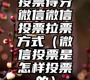 简单的来说下微信投票人工怎么刷票（微信纯人工投票）