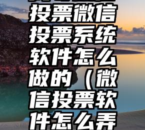 简单的来说下微信投票人工怎么刷票（微信纯人工投票）