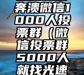 简单的来说下微信投票人工怎么刷票（微信纯人工投票）
