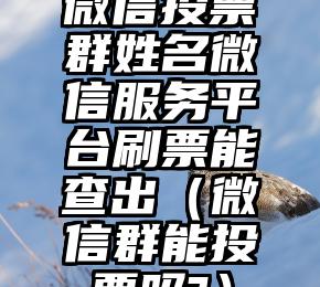 简单的来说下微信投票人工怎么刷票（微信纯人工投票）