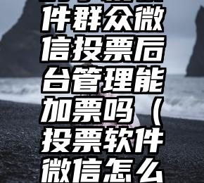 简单的来说下微信投票人工怎么刷票（微信纯人工投票）