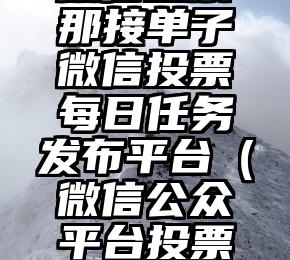 简单的来说下微信投票人工怎么刷票（微信纯人工投票）