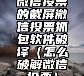 简单的来说下微信投票人工怎么刷票（微信纯人工投票）