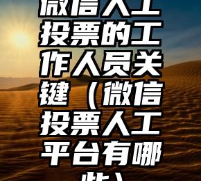 简单的来说下微信投票人工怎么刷票（微信纯人工投票）