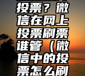 简单的来说下微信投票人工怎么刷票（微信纯人工投票）