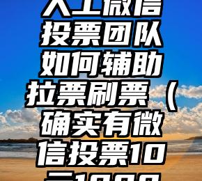 简单的来说下微信投票人工怎么刷票（微信纯人工投票）