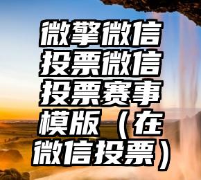 简单的来说下微信投票人工怎么刷票（微信纯人工投票）