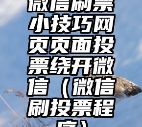 简单的来说下微信投票人工怎么刷票（微信纯人工投票）