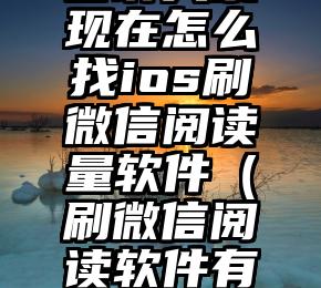 简单的来说下微信投票人工怎么刷票（微信纯人工投票）