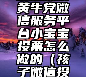 简单的来说下微信投票人工怎么刷票（微信纯人工投票）