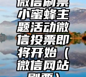 简单的来说下微信投票人工怎么刷票（微信纯人工投票）