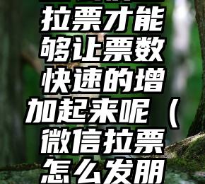 简单的来说下微信投票人工怎么刷票（微信纯人工投票）