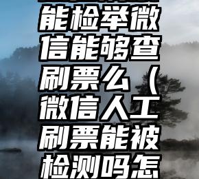 简单的来说下微信投票人工怎么刷票（微信纯人工投票）