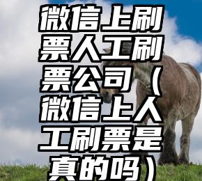 简单的来说下微信投票人工怎么刷票（微信纯人工投票）