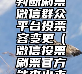 简单的来说下微信投票人工怎么刷票（微信纯人工投票）