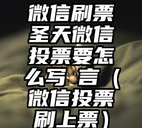 简单的来说下微信投票人工怎么刷票（微信纯人工投票）