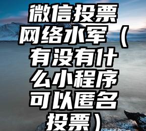 简单的来说下微信投票人工怎么刷票（微信纯人工投票）