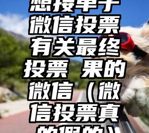 简单的来说下微信投票人工怎么刷票（微信纯人工投票）