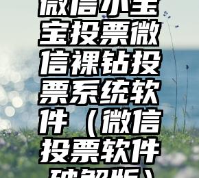简单的来说下微信投票人工怎么刷票（微信纯人工投票）