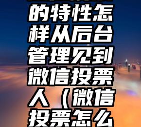 简单的来说下微信投票人工怎么刷票（微信纯人工投票）