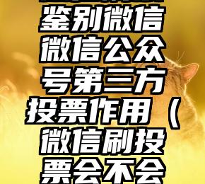 简单的来说下微信投票人工怎么刷票（微信纯人工投票）
