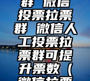简单的来说下微信投票人工怎么刷票（微信纯人工投票）