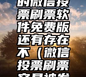 简单的来说下微信投票人工怎么刷票（微信纯人工投票）